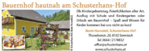 KinderGuide(26)_Schusterhaus