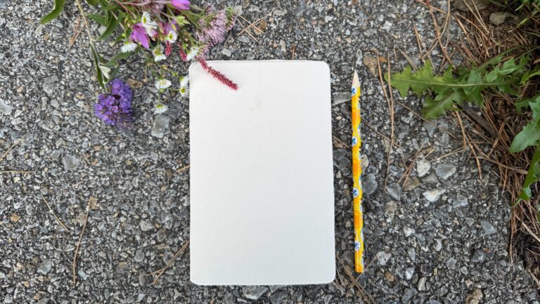 Bastelmaterialien für eine Naturvase aus Karton mit Bleistift und Wildblumen