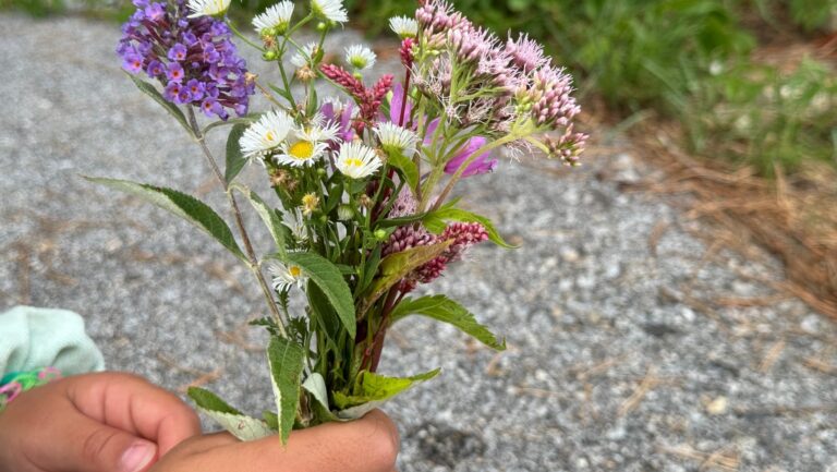 Kind hält gesammelte Wildblumen für die selbst gebastelte Naturvase
