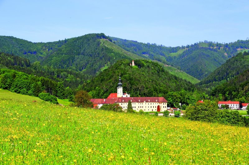Entdecken Sie Stift Rein, das älteste Zisterzienserkloster der Welt, mit historischen Schätzen, Stein.Zeit.Museum und Führungen für Familien.