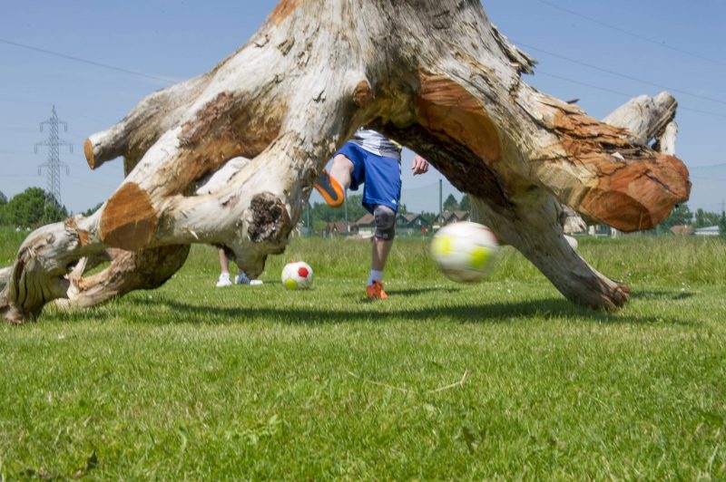 Soccerpark Wals-Siezenheim, 17.06.2013