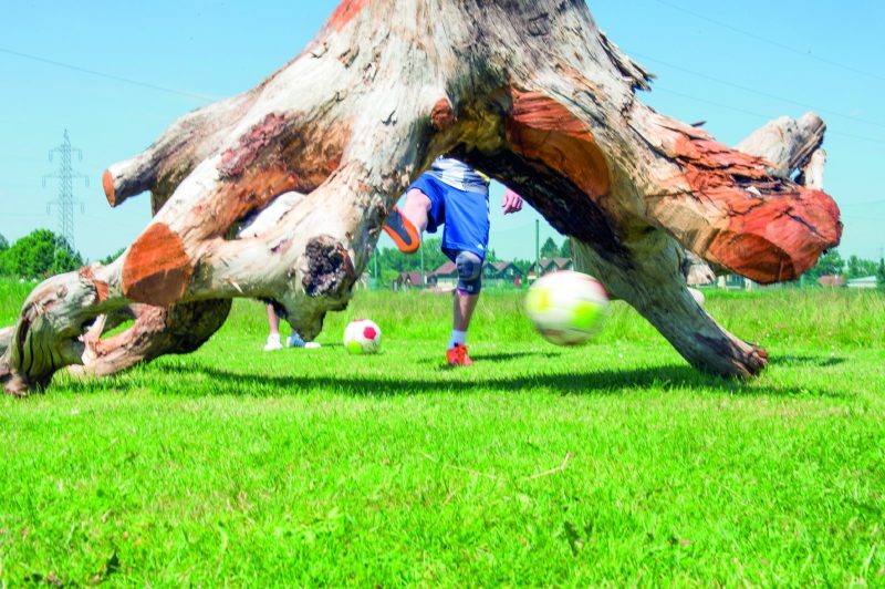 Spieler schießt einen Fußball unter einem Wurzelhindernis im Soccerpark Salzburg.