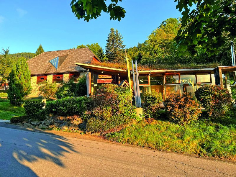 Außenansicht des Holzmuseums St. Ruprecht ob Murau mit Holzgebäuden, begrüntem Dach und umliegender Natur.